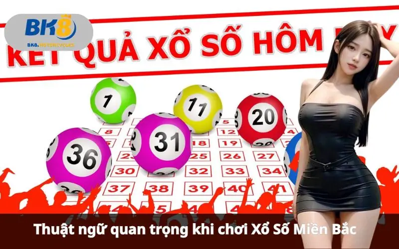 Xổ Số Miền Bắc BK8